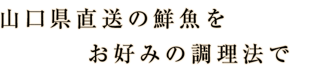 山口県直送の鮮魚を